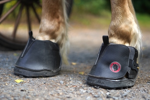 Equine Fusion Hufschuhe am Pferd
